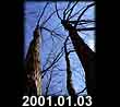 2001.01.03