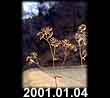 2001.01.04