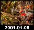 2001.01.05