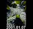 2001.01.07