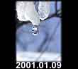 2001.01.09