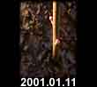 2001.01.11