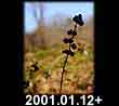 2001.01.12