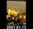 2001.01.13