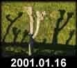 2001.01.16