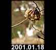 2001.01.18