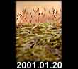 2001.01.20