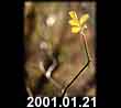2001.01.21