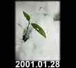 2001.01.28