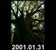 2001.01.31