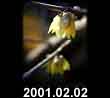 2001.02.02
