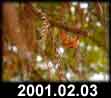 2001.02.03