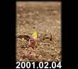 2001.02.04