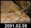 2001.02.05