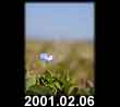 2001.02.06