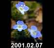 2001.02.07
