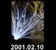 2001.02.10