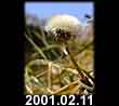 2001.02.11