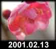 2001.02.13