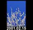 2001.02.15