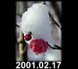 2001.02.17