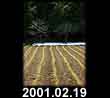 2001.02.19