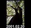 2001.02.20