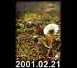 2001.02.21