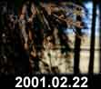 2001.02.22