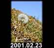 2001.02.23