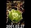 2001.02.27