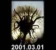 2001.03.01