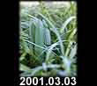 2001.03.03