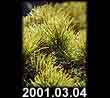 2001.03.04