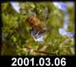 2001.03.06