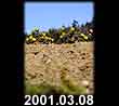 2001.03.08