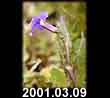 2001.03.09