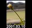 2001.03.10