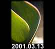 2001.03.13