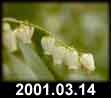 2001.03.14
