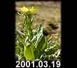 2001.03.19
