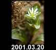 2001.03.20