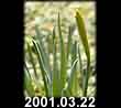 2001.03.22