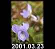 2001.03.23