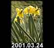 2001.03.24