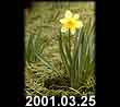 2001.03.25
