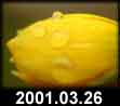 2001.03.26