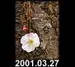 2001.03.27