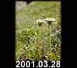 2001.03.28