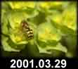2001.03.29